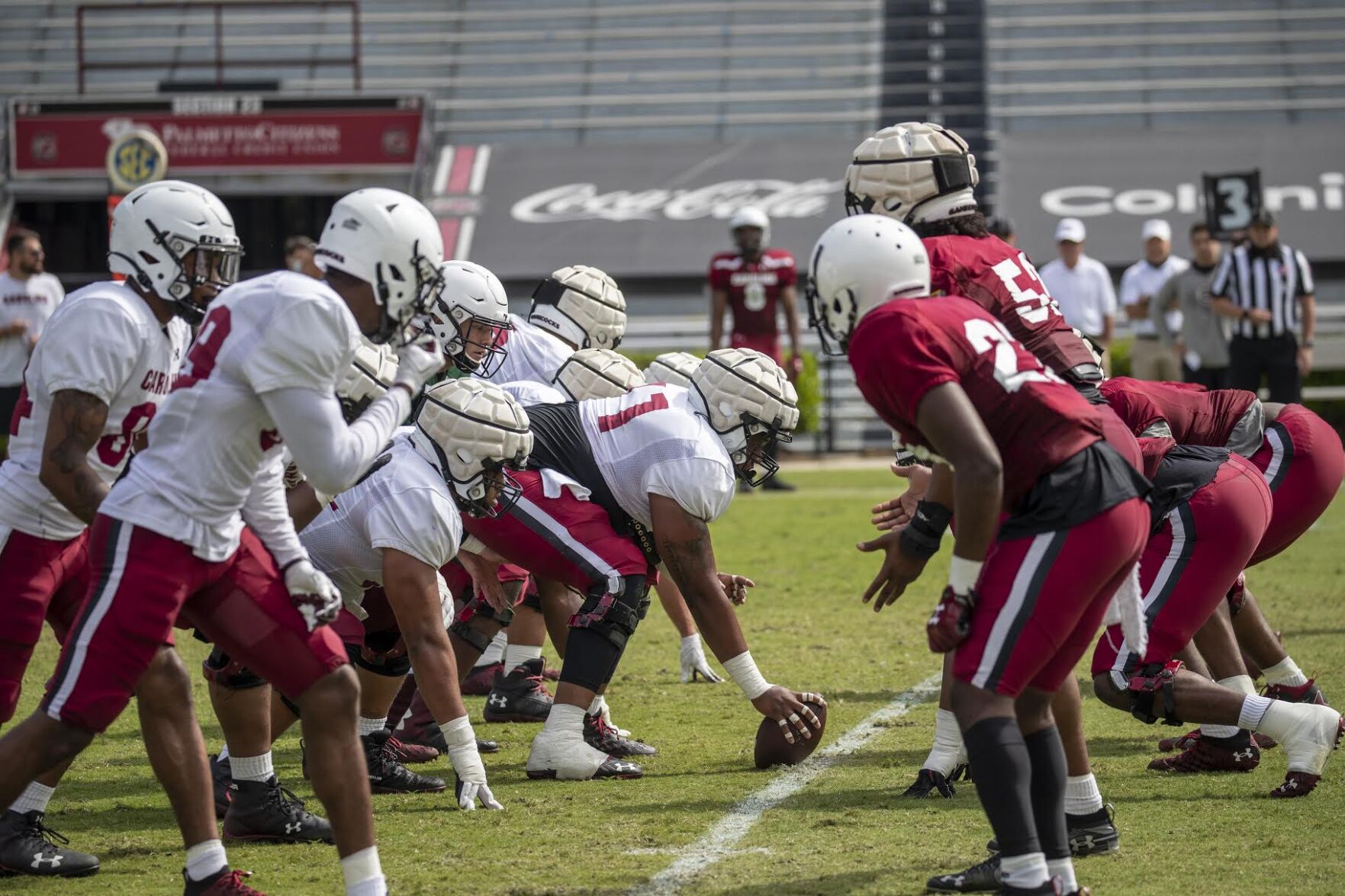 gamecock football
